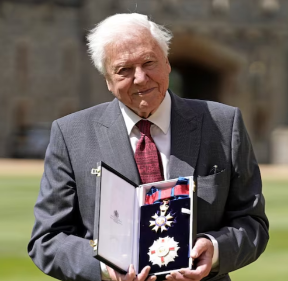 Sir David Attenborough received his second knighthood in 2022. (Reuters: Andrew Matthews)